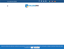 Tablet Screenshot of calliduspro.com